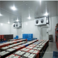 High Quality Solar Degree Cold Room Refrigerator Freezer